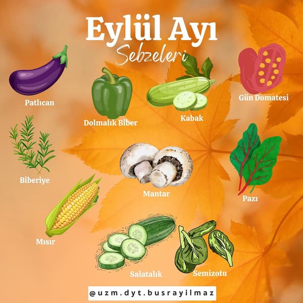 Uzman Diyetisyen Büşra Yılmaz - 21. Fotoğraf Uzman Diyetisyen Büşra Yılmaz - 21. Fotoğraf