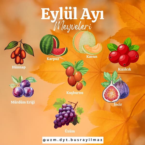 Uzman Diyetisyen Büşra Yılmaz - 20. Fotoğraf